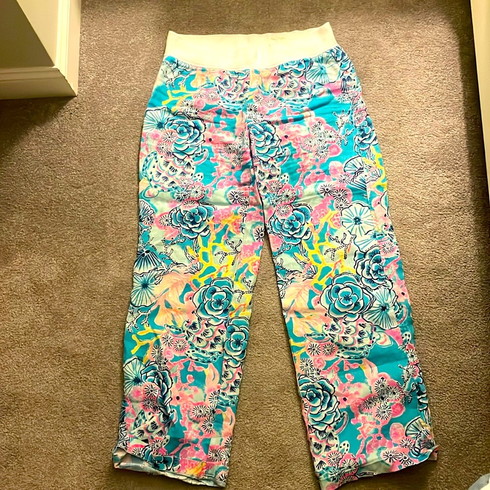 Barely worn Lilly Pulitzer Pants Size L